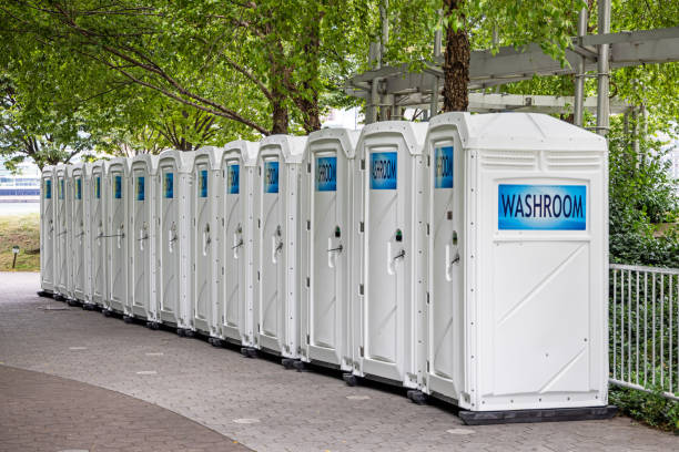 Best Porta potty rental for parties  in New Richmond, WI